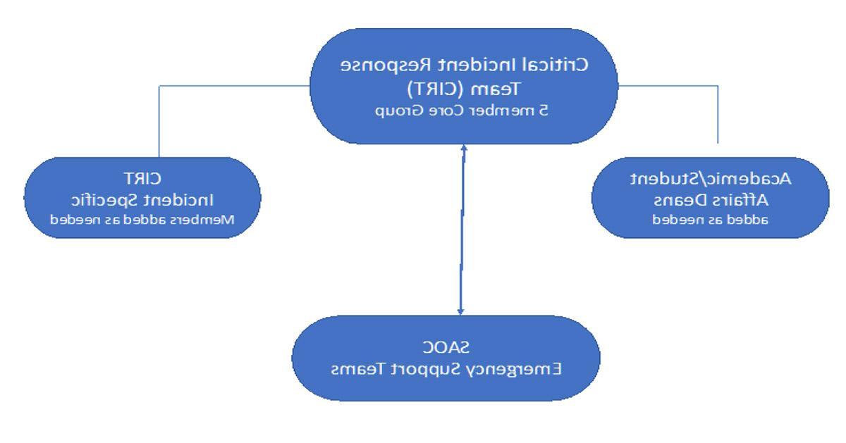 重大事故应变小组(CIRT)